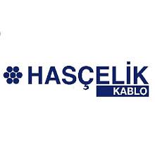 http://www.hascelik.com/default.aspx